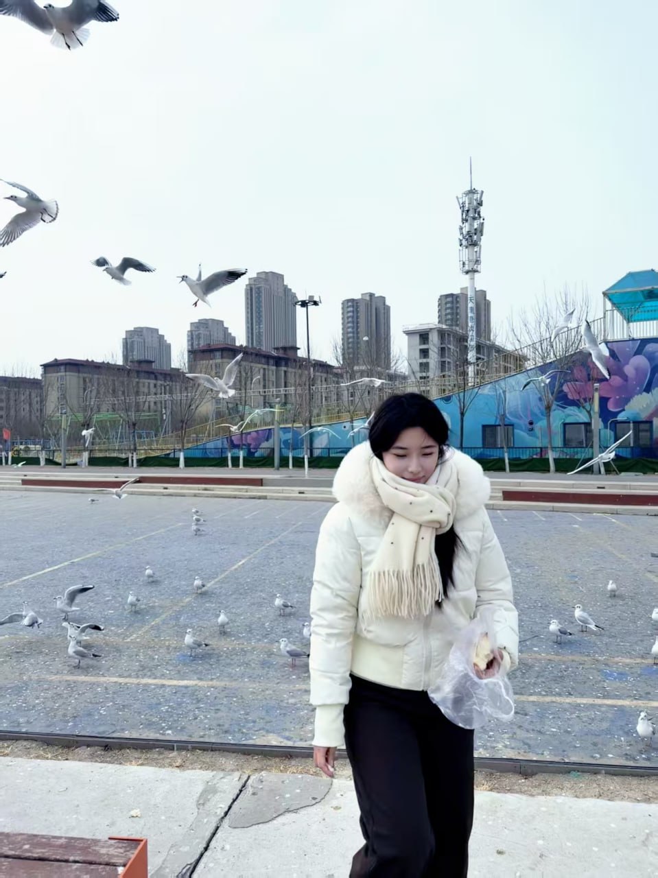 海南 海口 编号：388376 (点击复制)
➡️ 