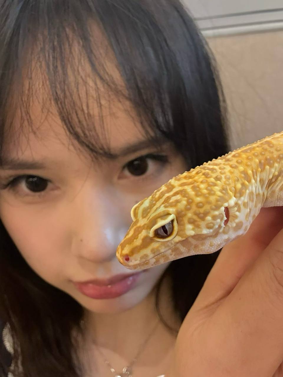 海南 三亚 编号：846948 (点击复制)
➡️ 