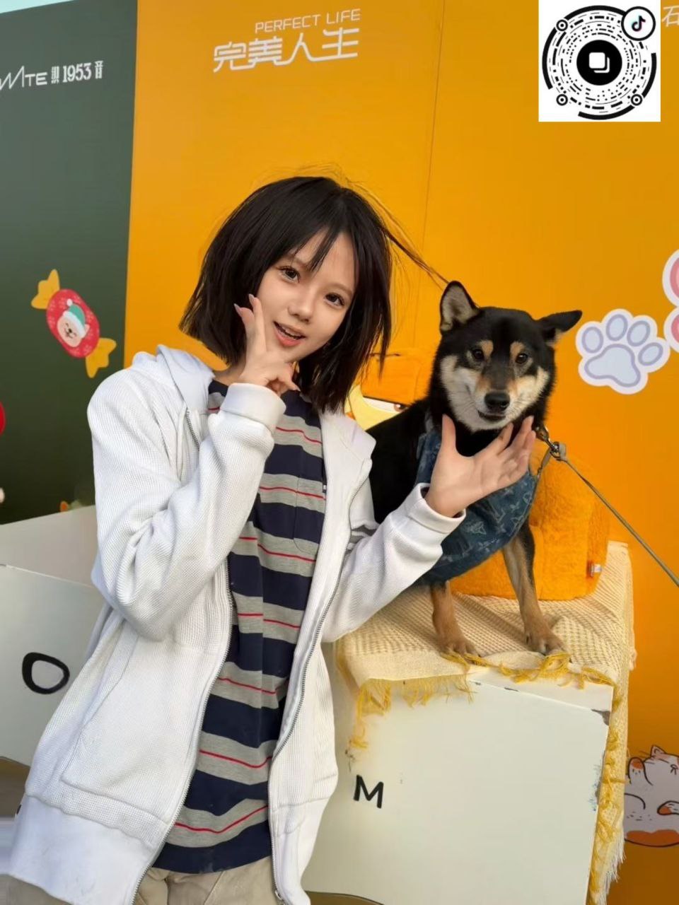 河北 编号：998589 (点击复制)
➡️ 