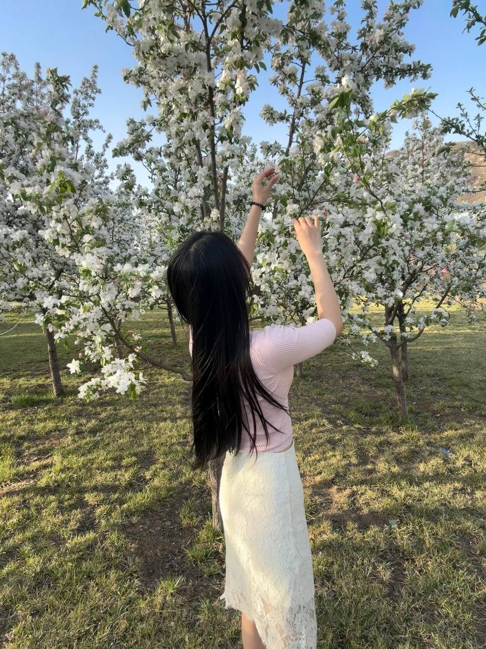 河北 石家庄 编号：395977 (点击复制)
➡️ 