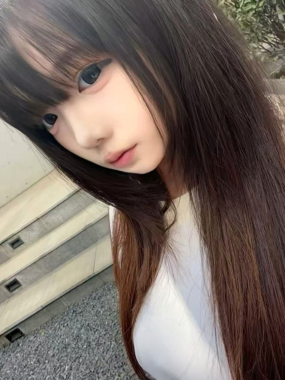 河北 石家庄 编号：742277 (点击复制)
➡️ 