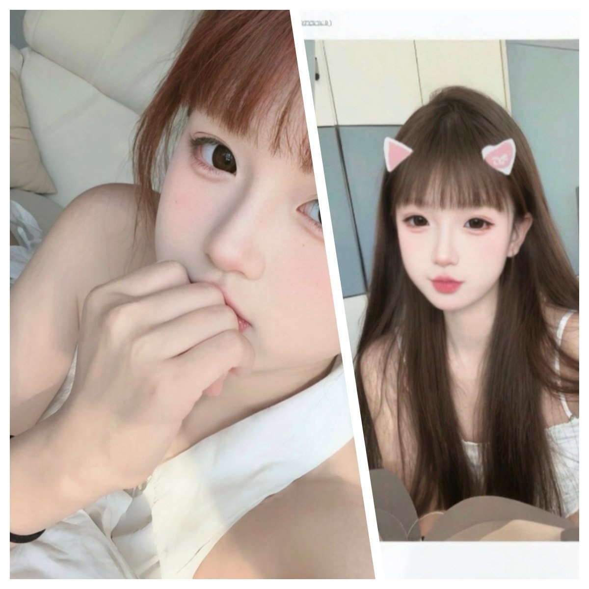 河北 石家庄 编号：210024 (点击复制)
➡️ 