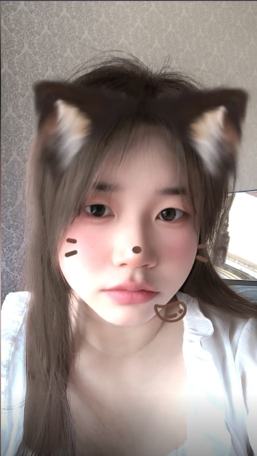 河北 编号：380853 (点击复制)
➡️ 