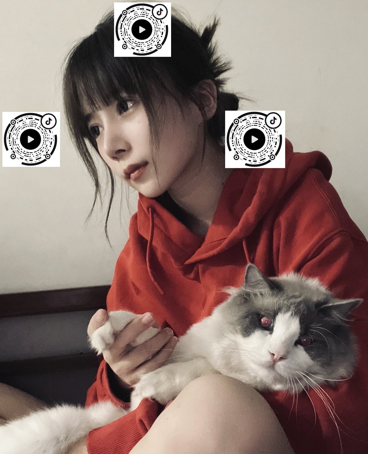 河北 衡水 编号：004483 (点击复制)
➡️ 