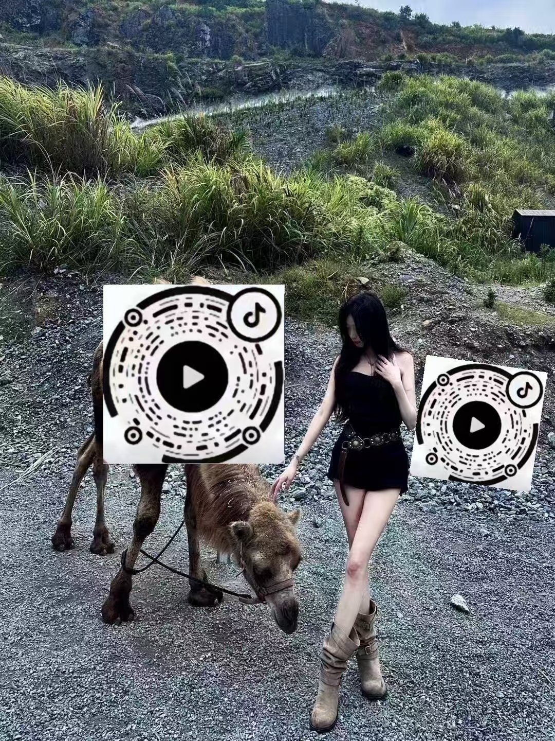 黑龙江 哈尔滨 编号：922000 (点击复制)
➡️ 