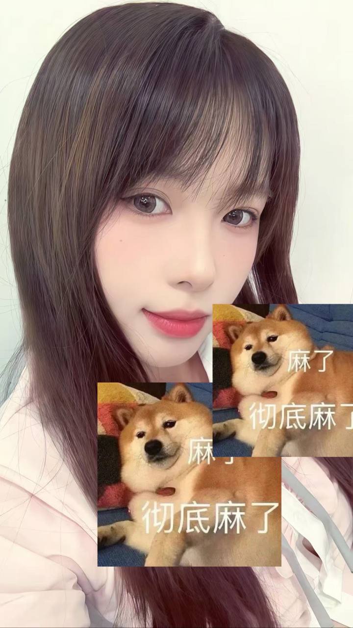 黑龙江 哈尔滨 编号：146507 (点击复制)
➡️ 