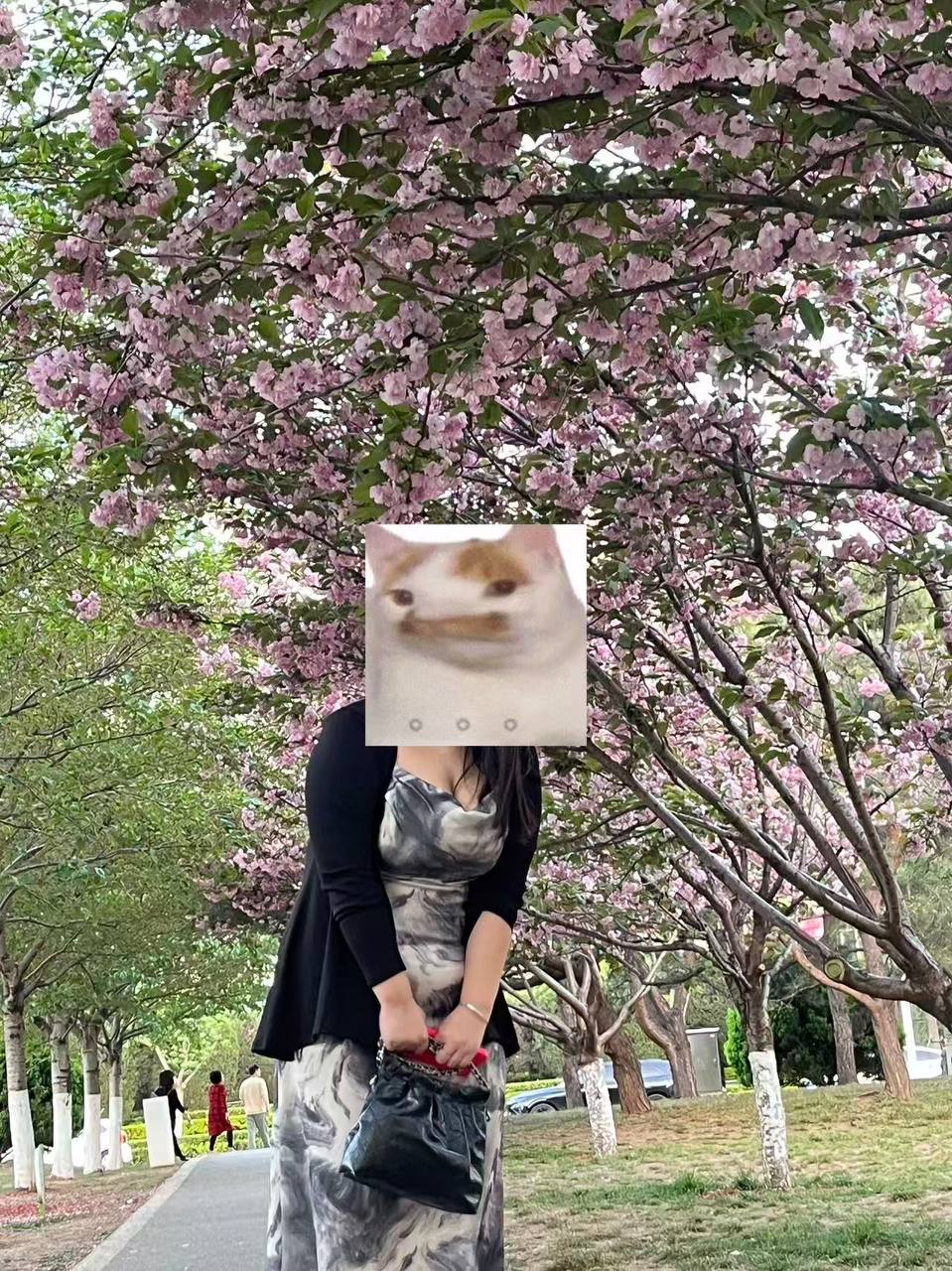 黑龙江 编号：947202 (点击复制)
➡️ 