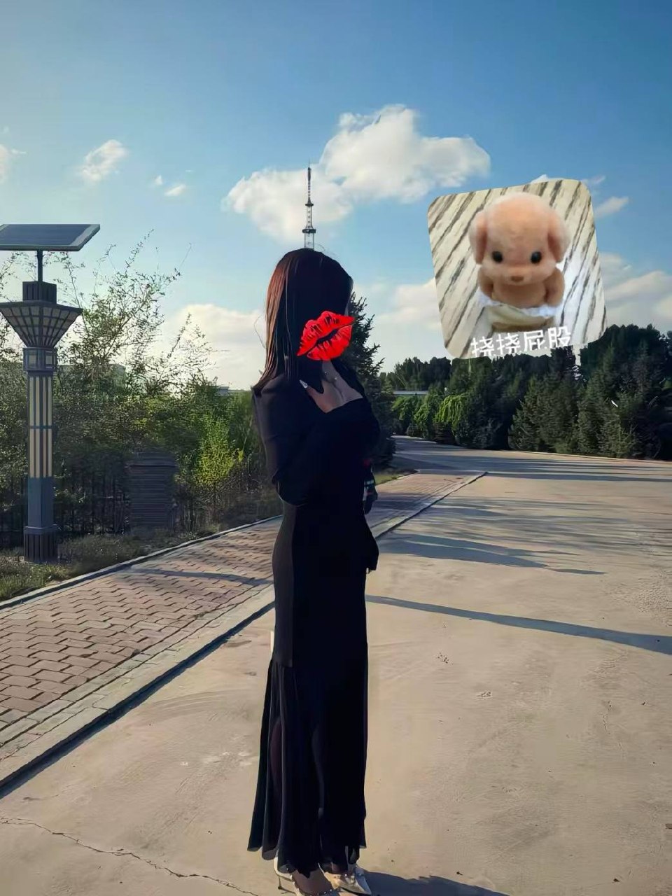 黑龙江 哈尔滨 编号： 352542 （260909）

