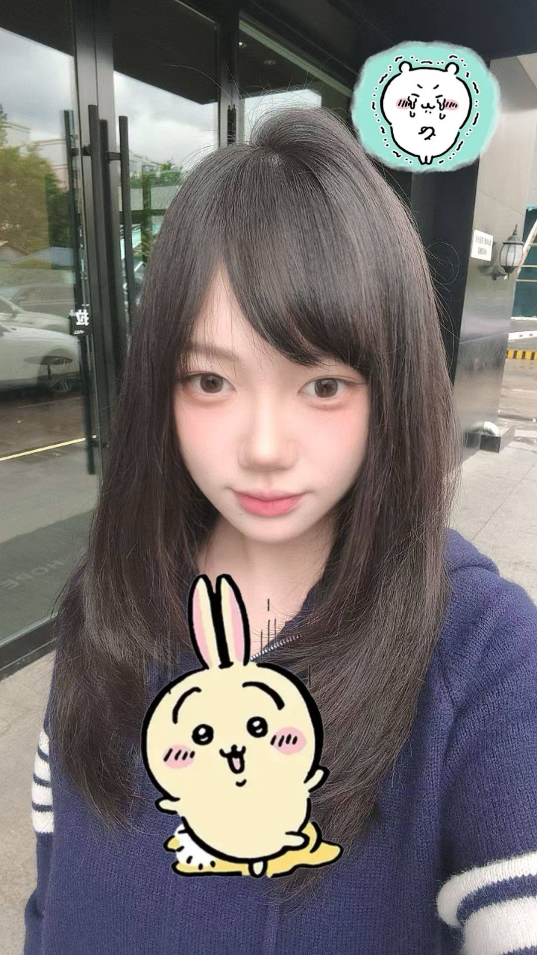 黑龙江 哈尔滨 编号： 293074 （260911）
