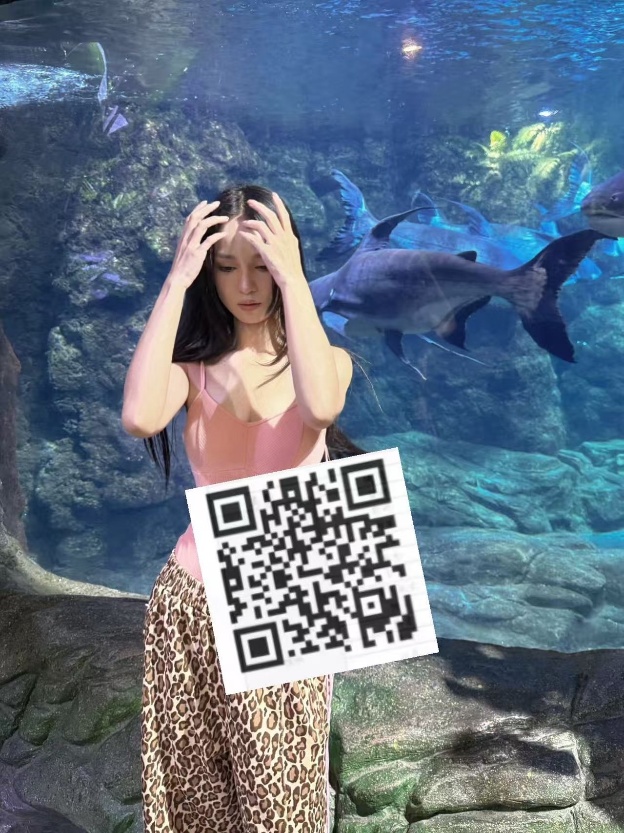 河南 编号：528537 (点击复制)
➡️ 
