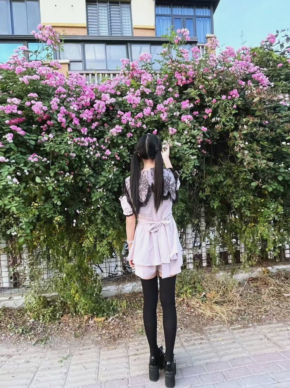 河南 编号：952753 (点击复制)
➡️ 