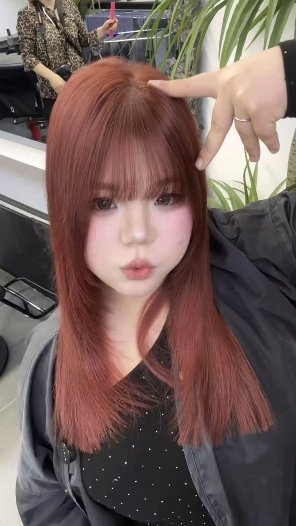 河南 洛阳 编号：044917 (点击复制)
➡️ 