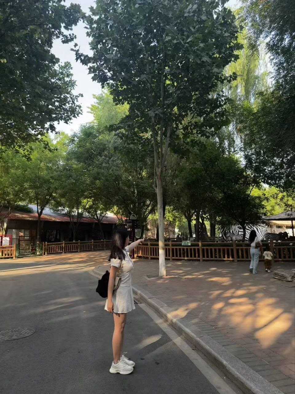河南 郑州 编号：227297 (点击复制)
➡️ 