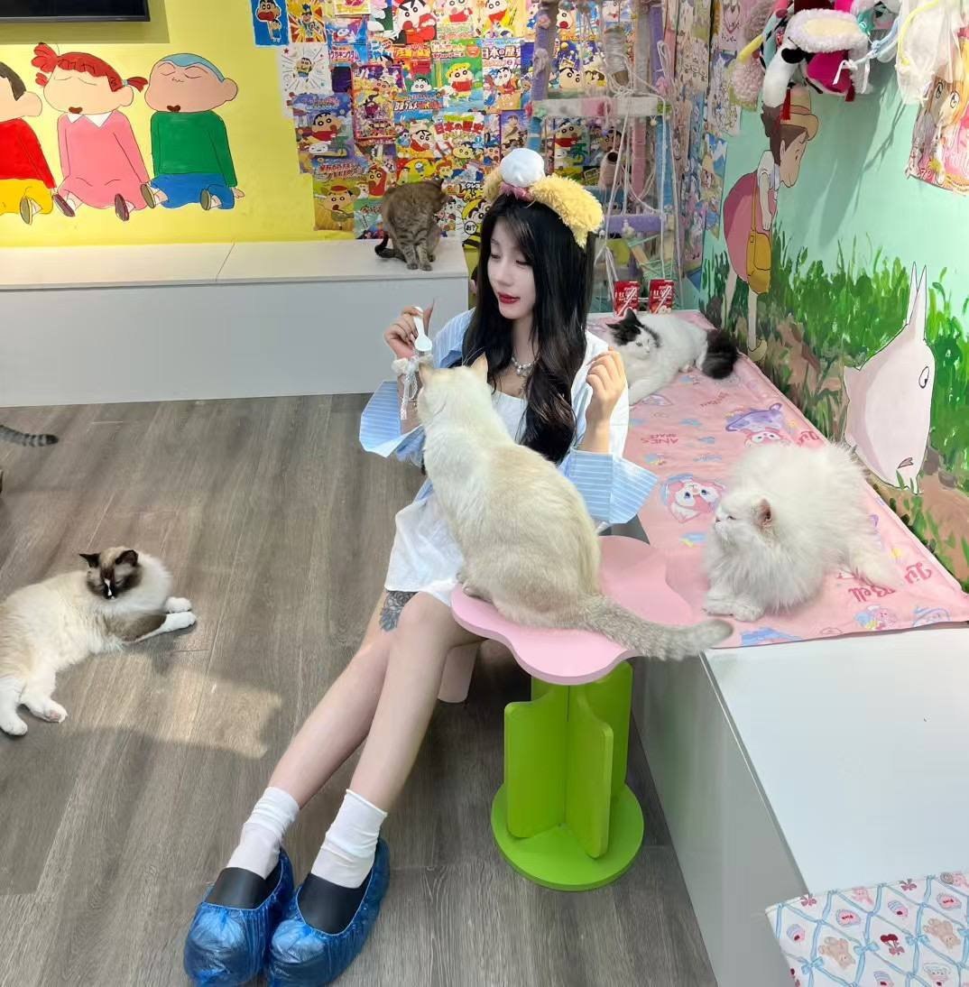 河南 郑州 编号：687154 (点击复制)
➡️ 