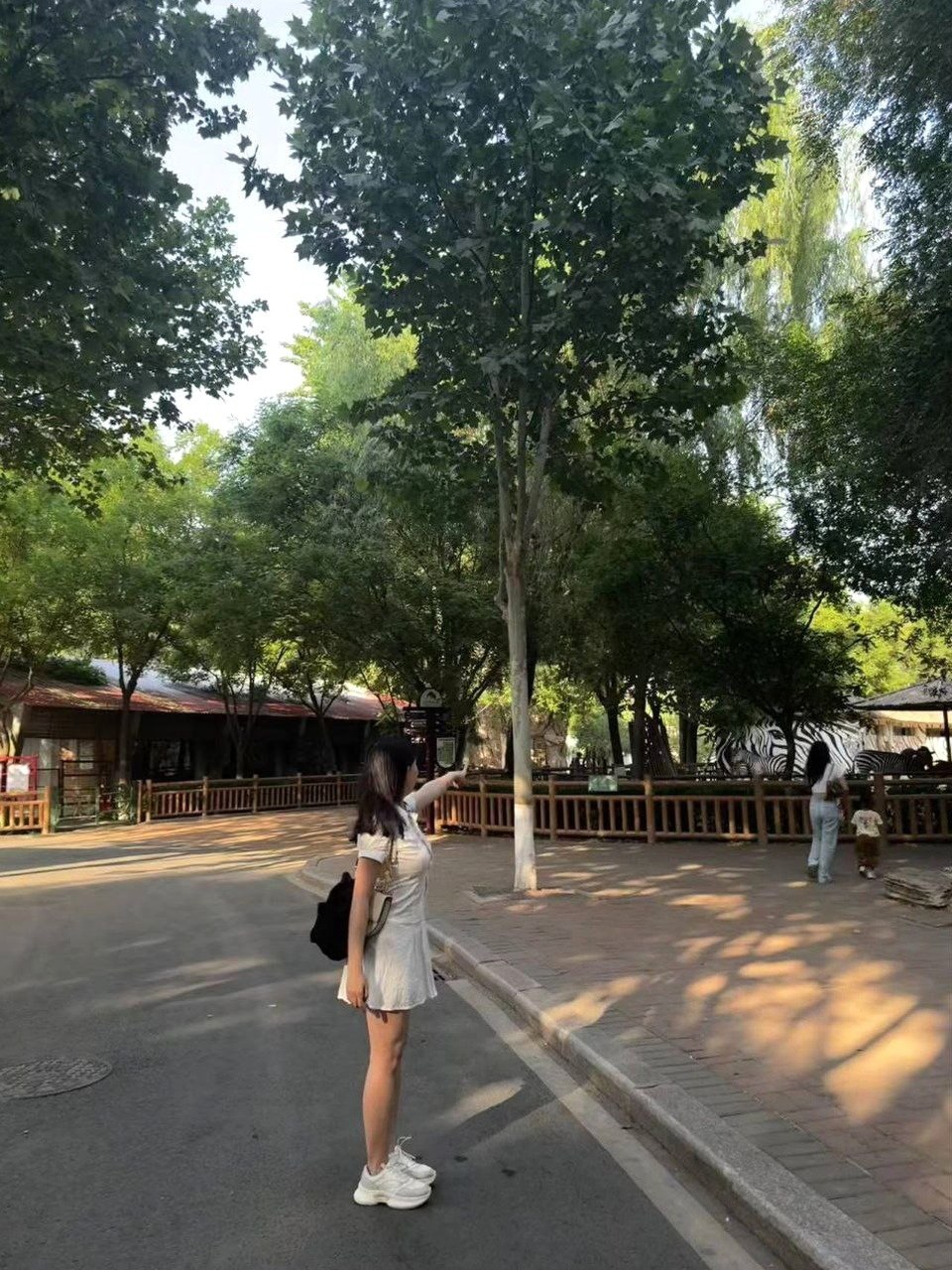 河南 郑州 编号：134420 (点击复制)
➡️ 