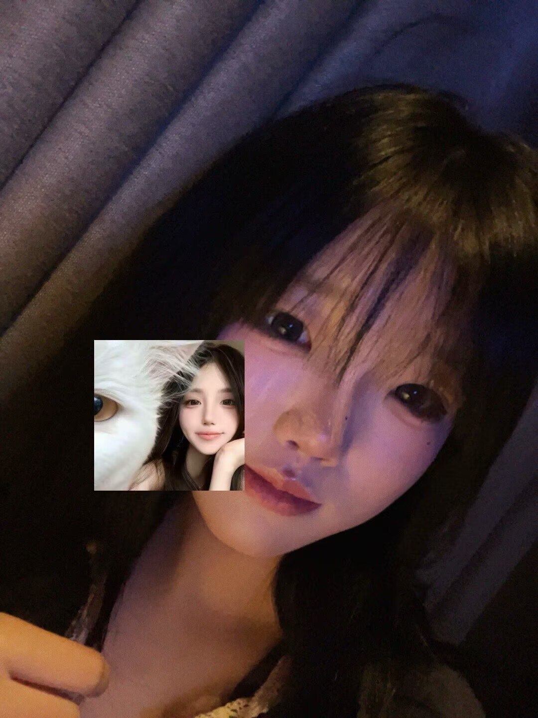 河南 洛阳 编号：532505 (点击复制)
➡️ 