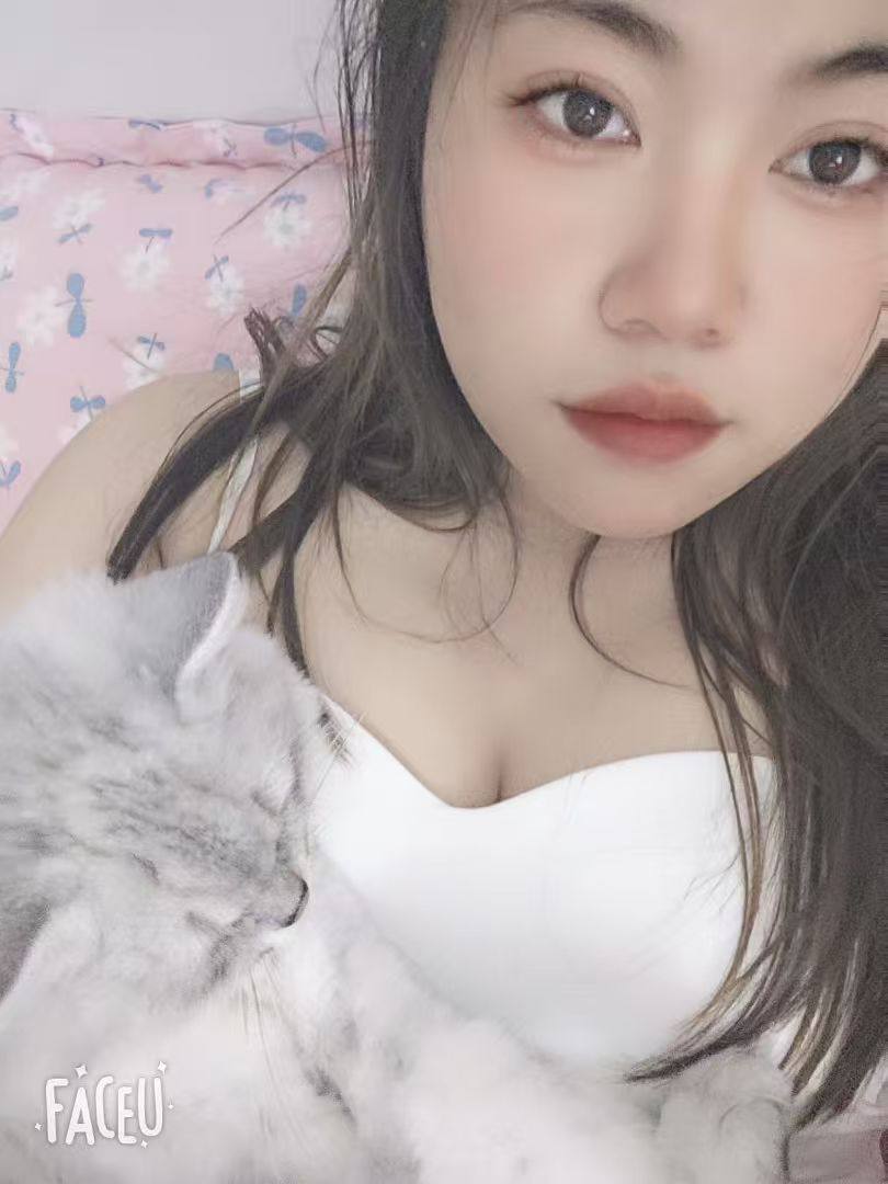 河南 洛阳 编号：335050 (点击复制)
➡️ 