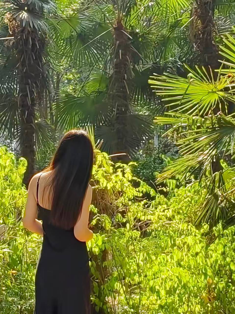 河南 郑州 编号：100183 (点击复制)
➡️ 