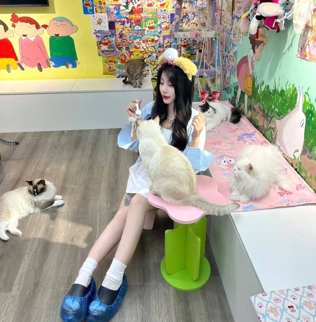 河南 郑州 编号：983649 (点击复制)
➡️ 
