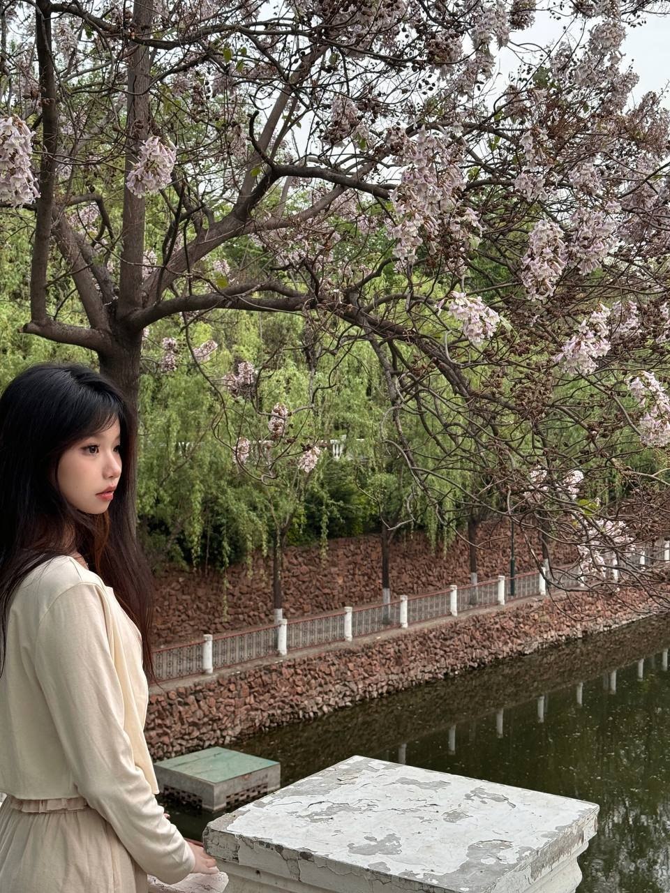 河南 郑州 编号：803995 (点击复制)
➡️ 
