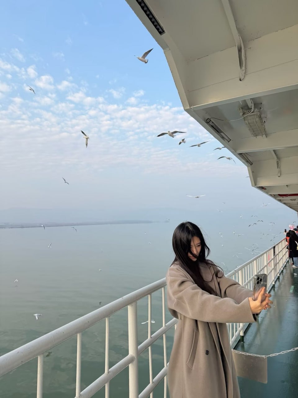 河南 三门峡 编号：621667 (点击复制)
➡️ 