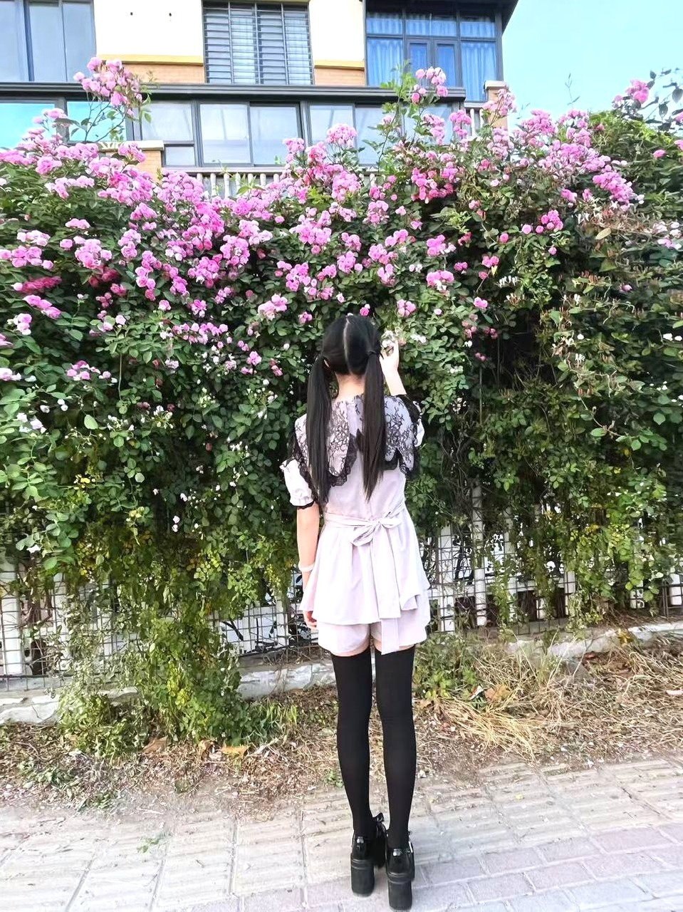 河南 编号：470305 (点击复制)
➡️ 