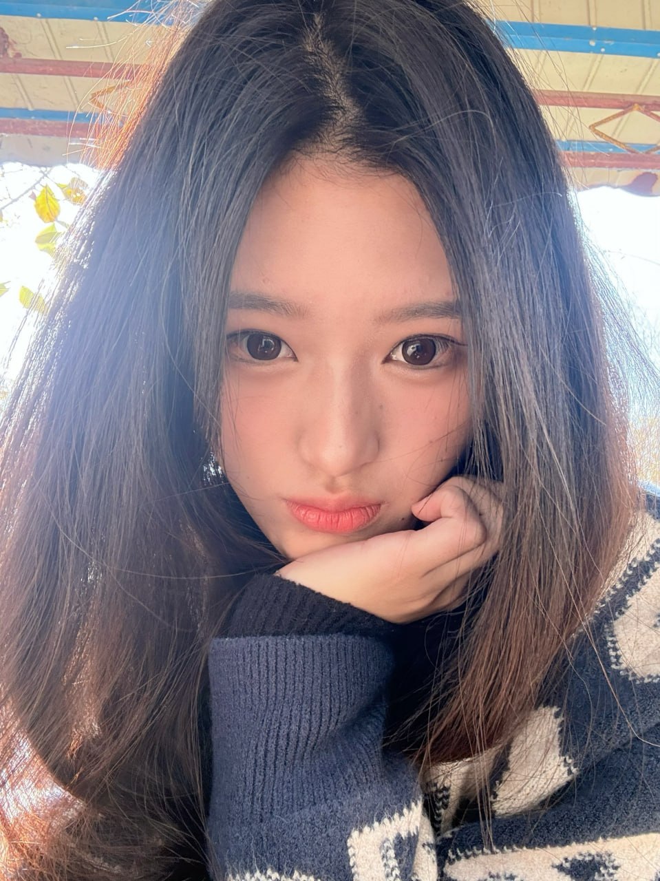 河南 三门峡 编号：621667 (点击复制)
➡️ 