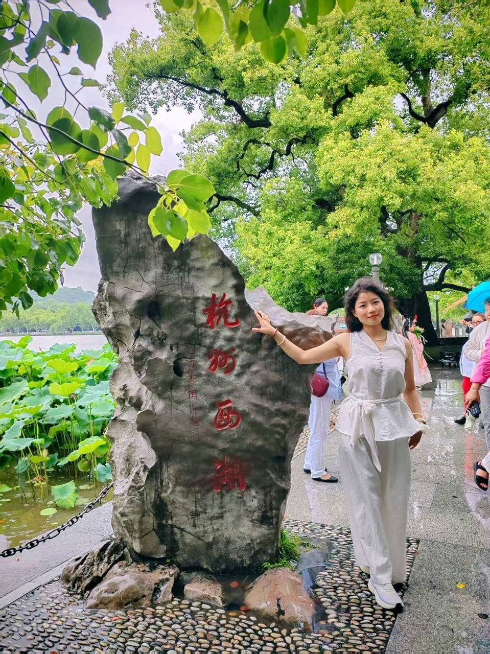 河南 洛阳 编号：075384 (点击复制)
➡️ 