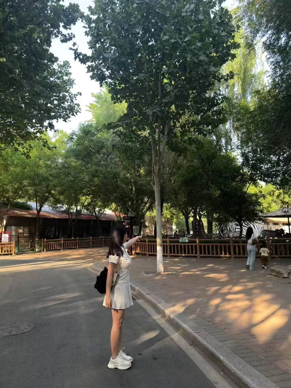 河南 郑州 编号：746000 (点击复制)
➡️ 
