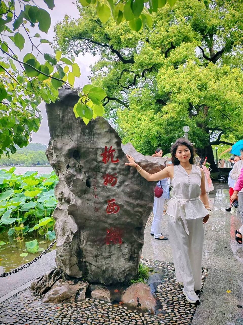 河南 洛阳 编号：445389 (点击复制)
➡️ 