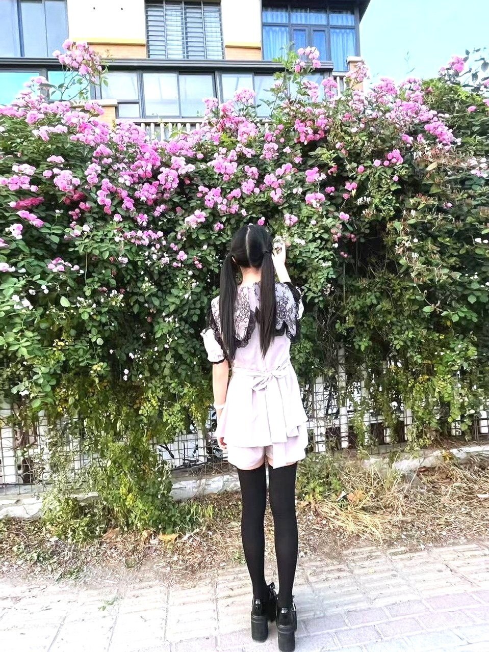 河南 编号：044788 (点击复制)
➡️ 