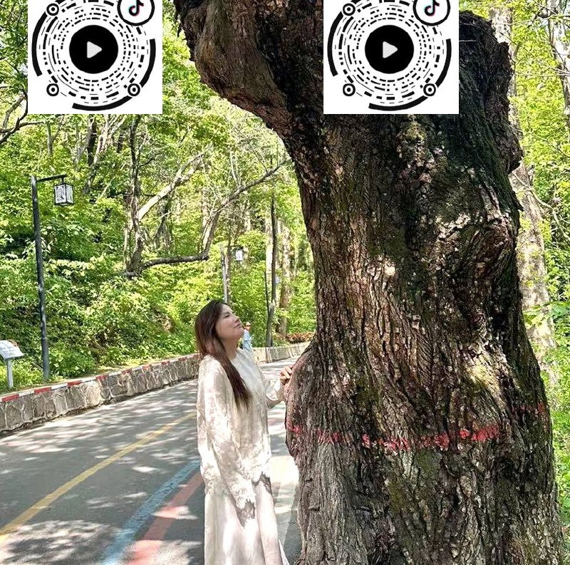 河南 郑州 编号：921329 (点击复制)
➡️ 