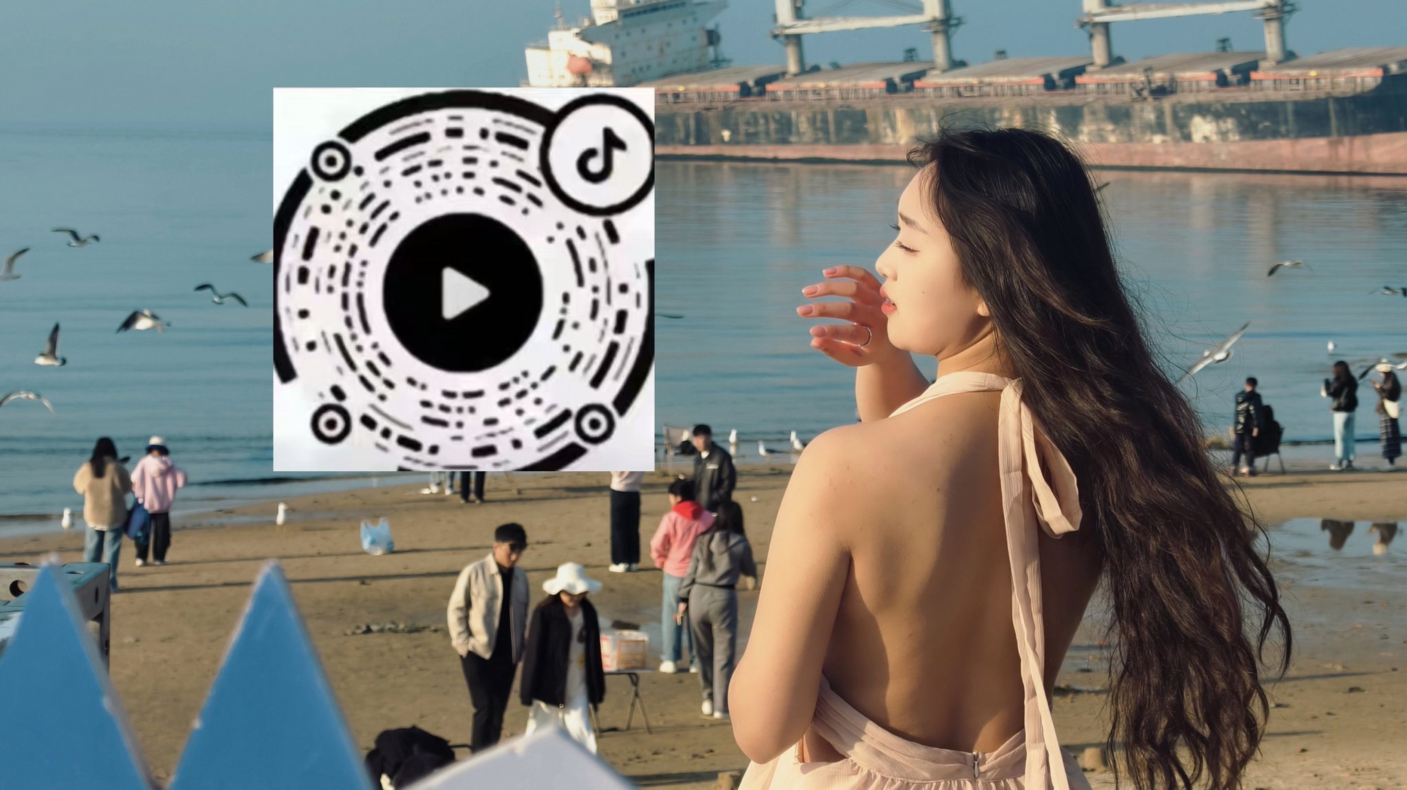 河南 郑州 编号：575055 (点击复制)
➡️ 