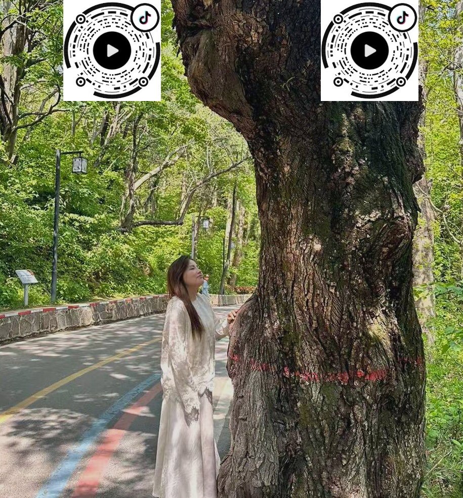 河南 郑州 编号： 467307 （260828）
