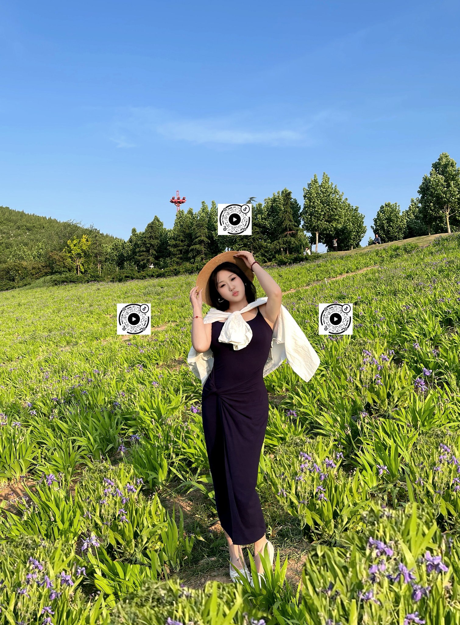 河南 安阳 编号： 026764 （260908）
