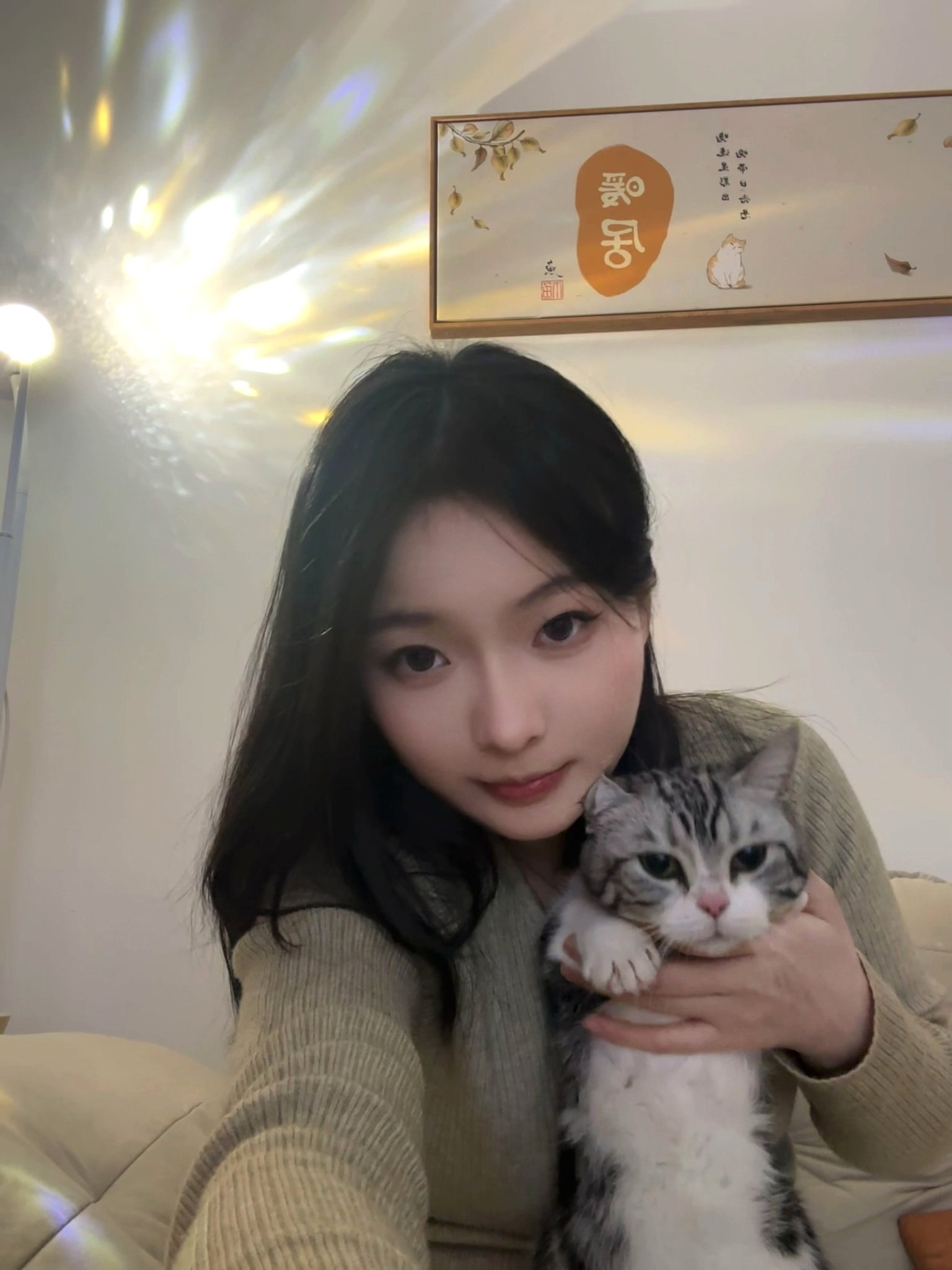 湖南 长沙 编号：750056 (点击复制)
➡️ 