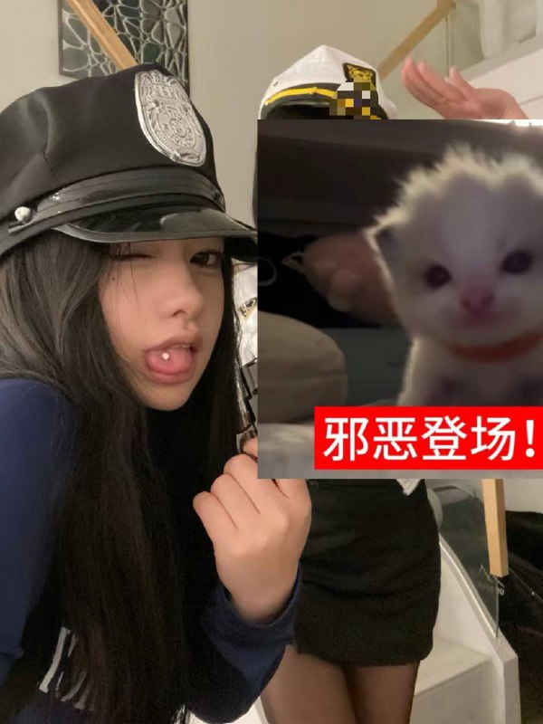 湖南 长沙 编号：239972 (点击复制)
➡️ 