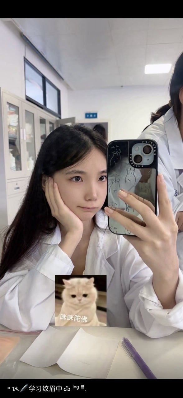 湖南 常德 编号：268703 (点击复制)
➡️ 