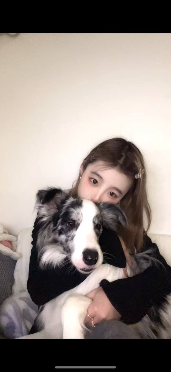 湖南 衡阳 编号：085694 (点击复制)
➡️ 