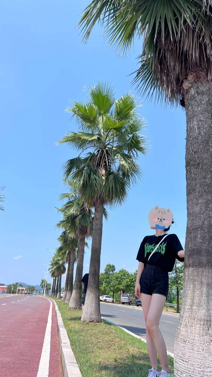 湖南 长沙 编号：885819 (点击复制)
➡️ 