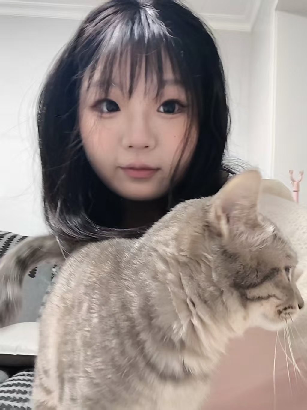 湖南 长沙 编号：793947 (点击复制)
➡️ 