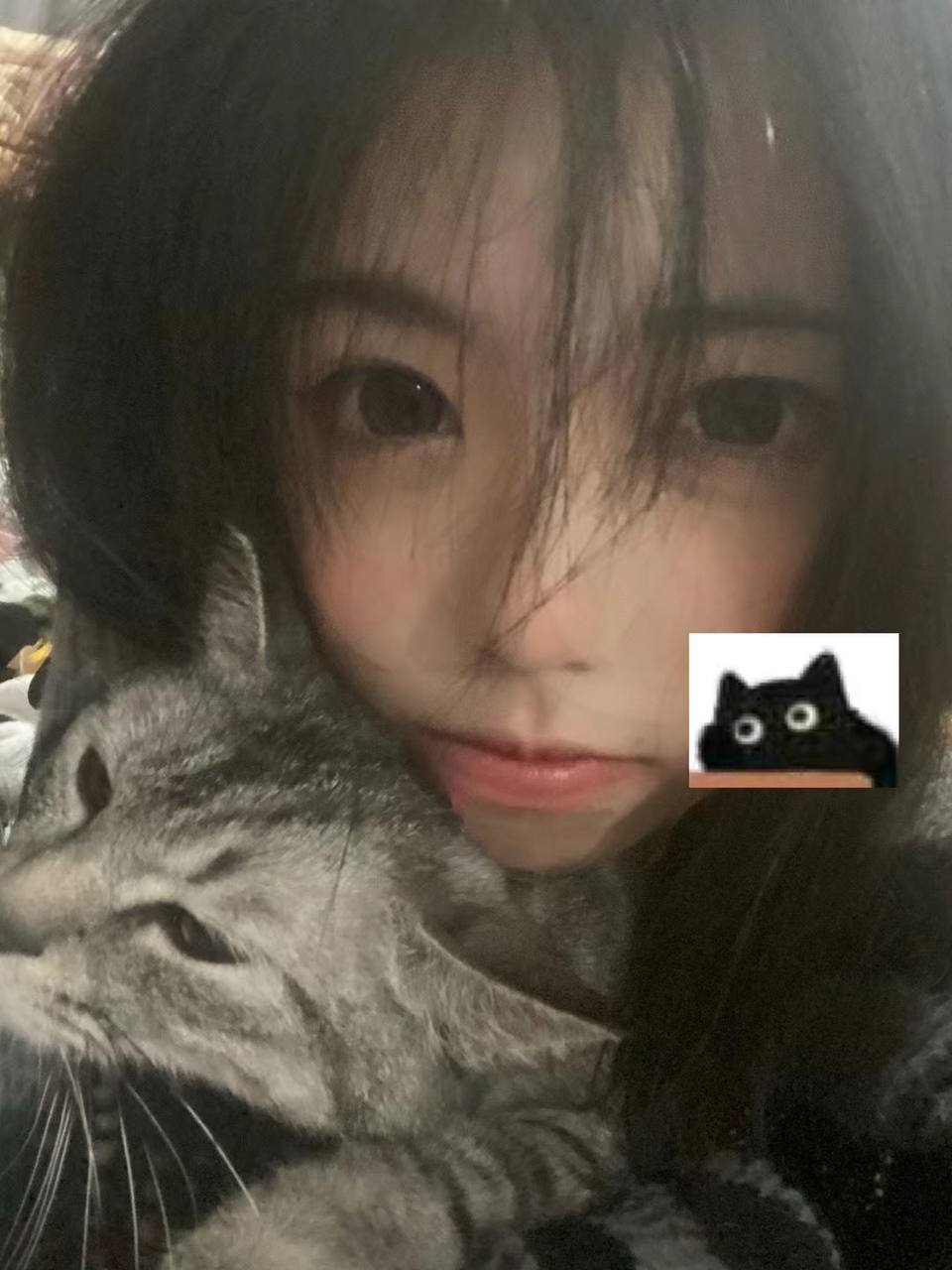 江苏 南京 编号：344841 (点击复制)
➡️ 