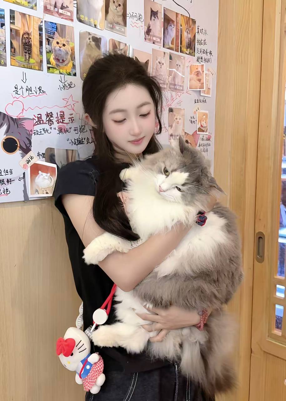 江苏 无锡 编号：838287 (点击复制)
➡️ 