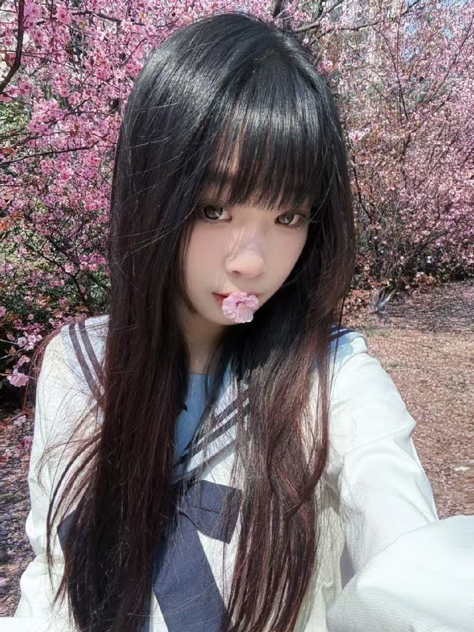 江苏 苏州 编号：150379 (点击复制)
➡️ 