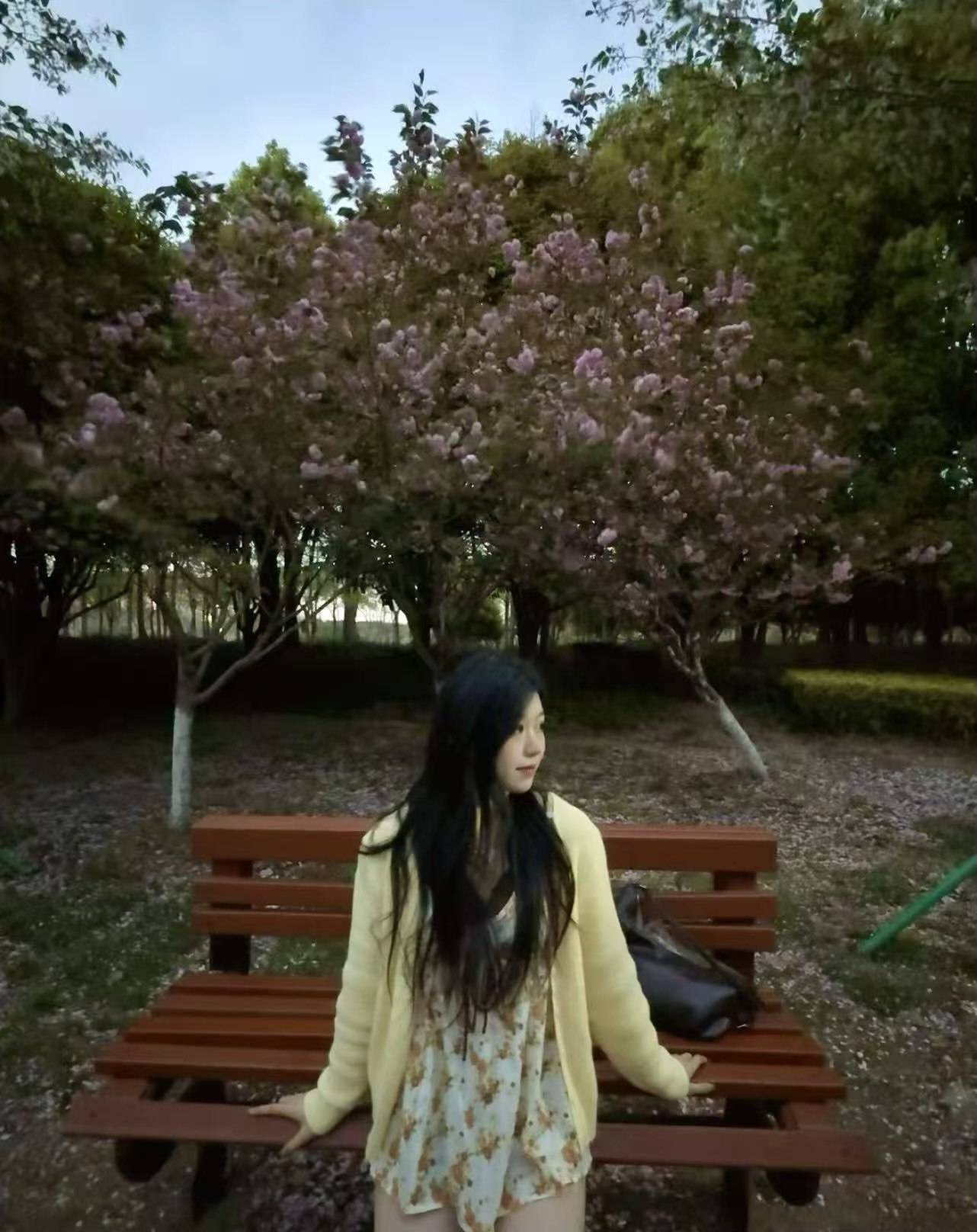 江苏 编号：201359 (点击复制)
➡️ 