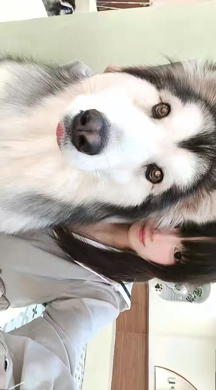 江苏 南京 编号：660648 (点击复制)
➡️ 