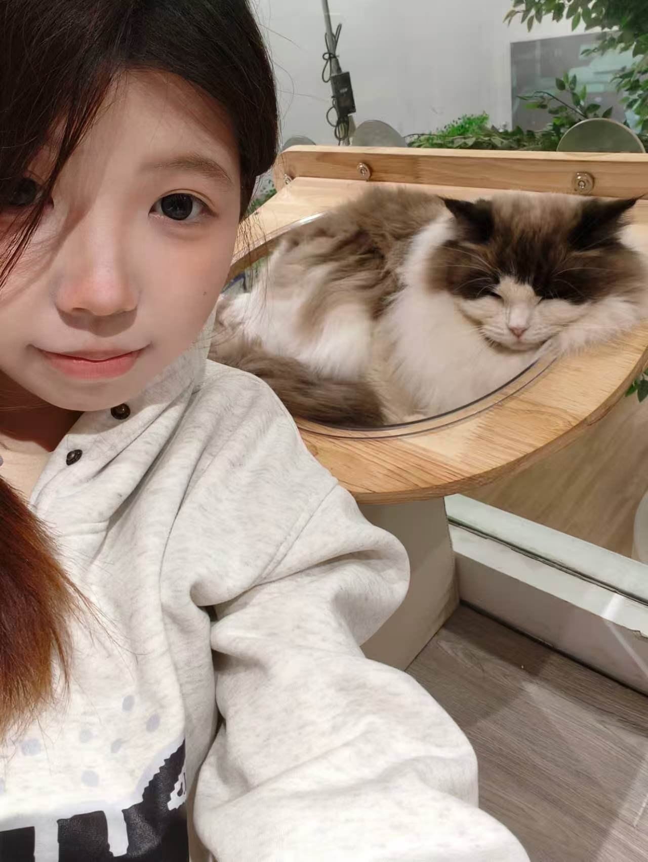 江苏 南通 编号：516484 (点击复制)
➡️ 