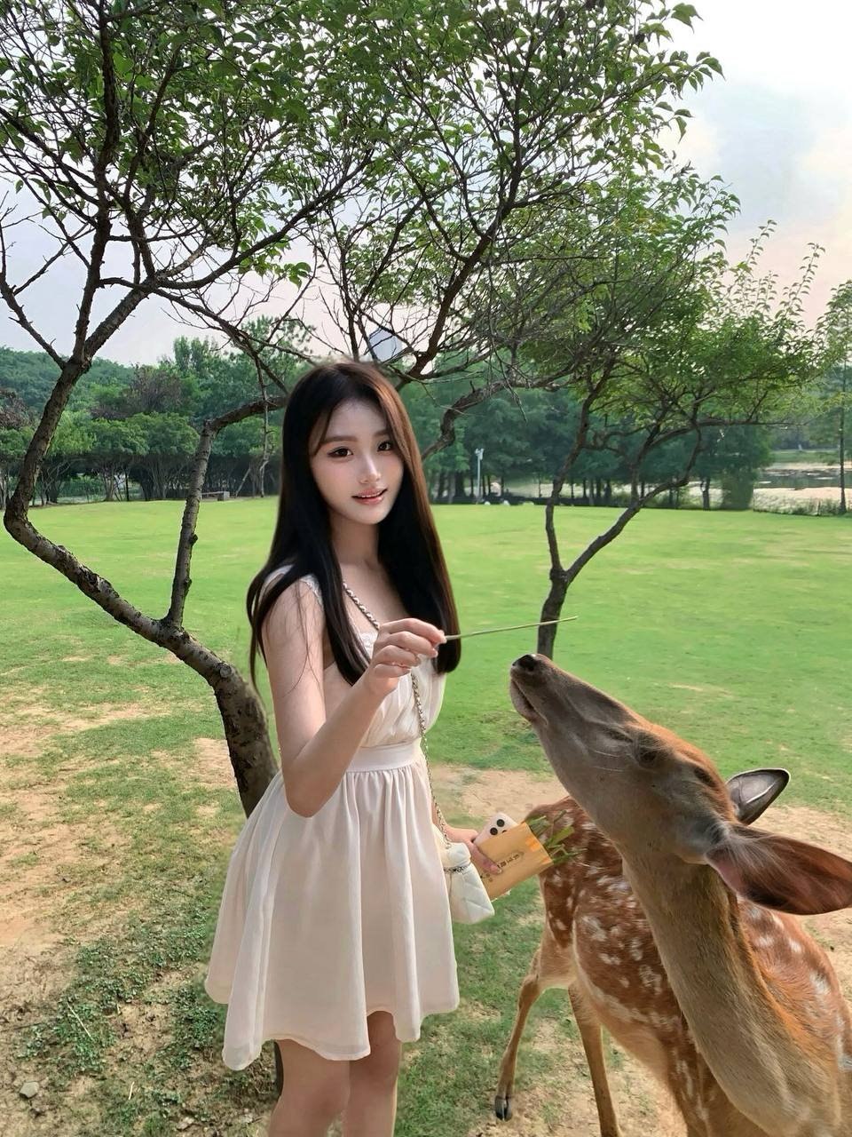 江苏 南京 编号：474083 (点击复制)
➡️ 