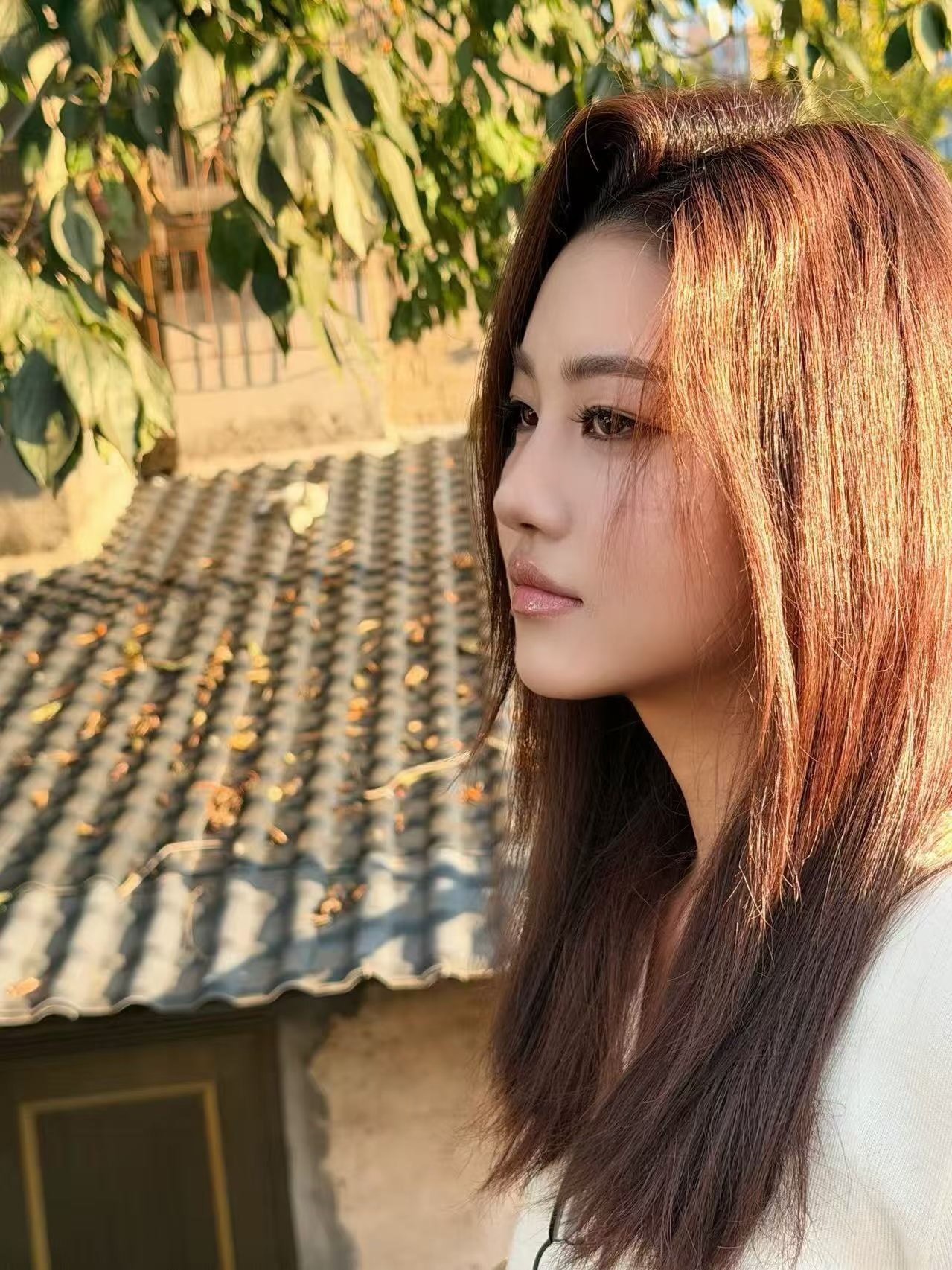 江西 上饶 编号：245146 (点击复制)
➡️ 