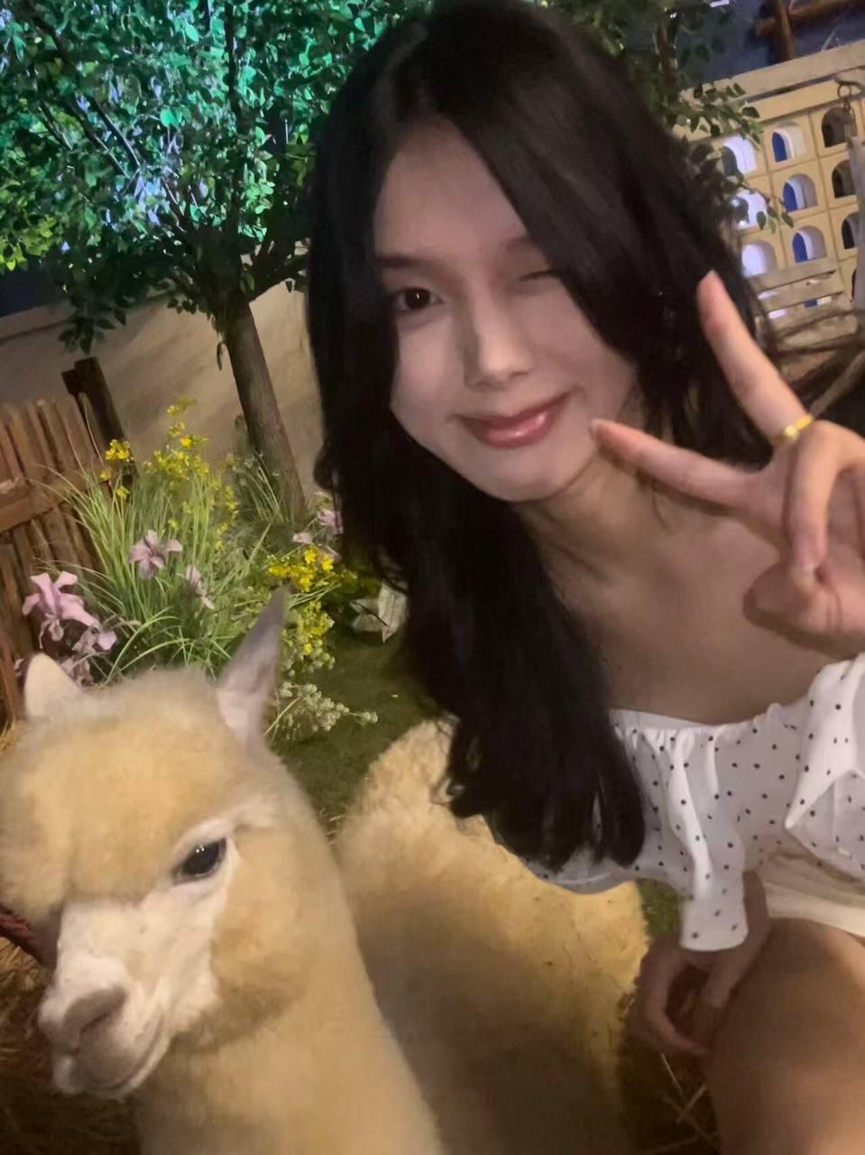 江西 赣州 编号：799059 (点击复制)
➡️ 